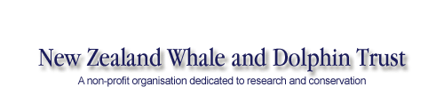 New Zealand Whale and Dolphin Trust - a non profit organisation dedicated to research and conservation