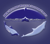 NZ Whale and Dolphin Trust logo