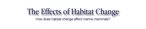 The effects of habitat change on marine mammals