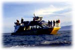 Whalewatch Kaikoura boat